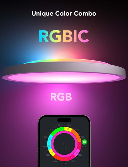 Smart Ceiling Light, RGBIC LED Ceiling Light Fixture, 2400LM Flush