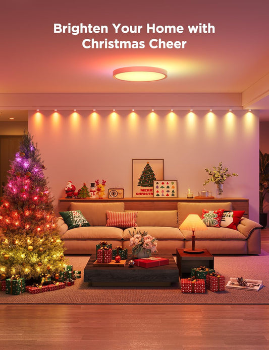 Smart Ceiling Light, RGBIC LED Ceiling Light Fixture, 2400LM Flush